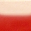 czerwony połysk (RAL 3020)