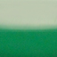 zielony połysk (RAL 6029)